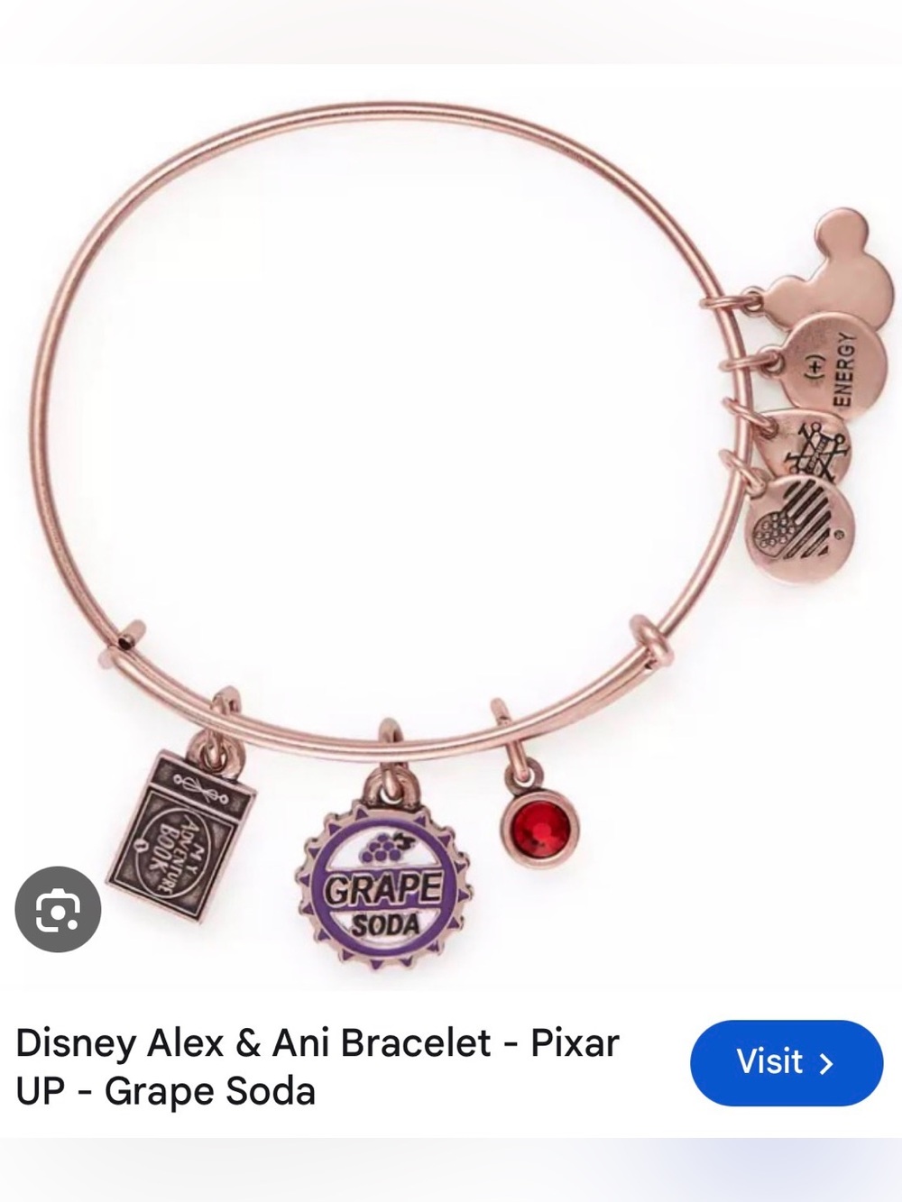 Alex and Ani Rose Gold Grape Soda Charm Expandable Bangle